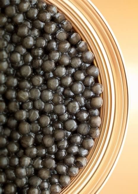 خاویار بلوگا پنجاه گرمی صادراتی